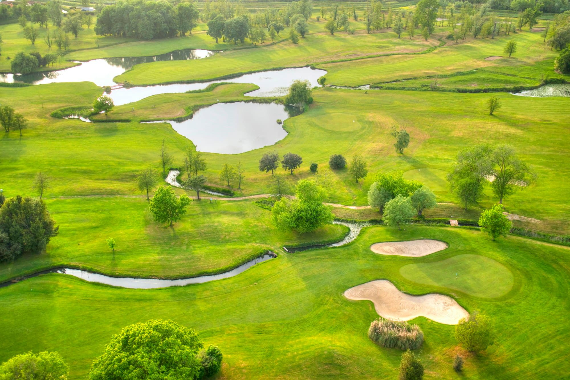 Aerial view of the Greenway Pines course, fairways winding between pines.