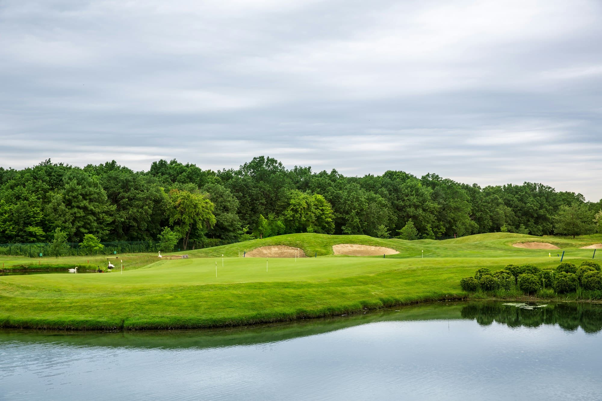 A fairway and bunkers rising behind a still lake, with pine forest beyond.